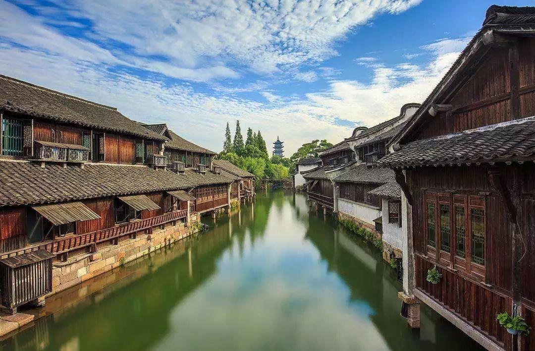 拯救垒球运动员